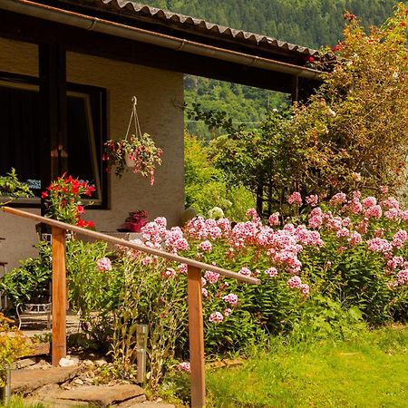 בודנסדורף Seeapartments Kaernten מראה חיצוני תמונה